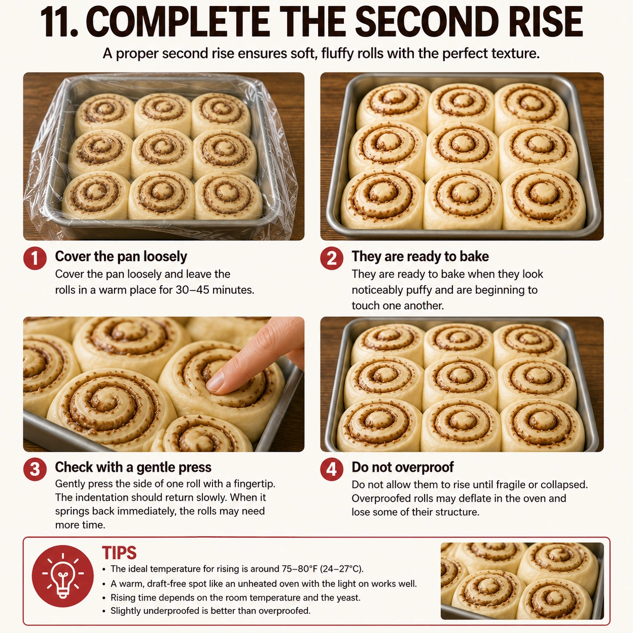 Second Rise Perfectly Puffy Cinnamon Rolls